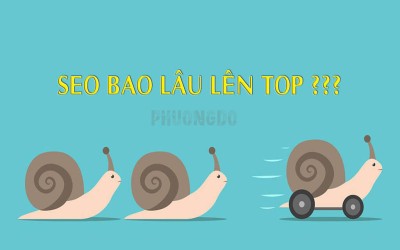 Website mới thì seo bao lâu sẽ lên top?