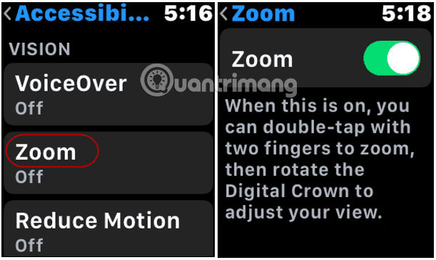 tinh nang zoom tren apple watch 1