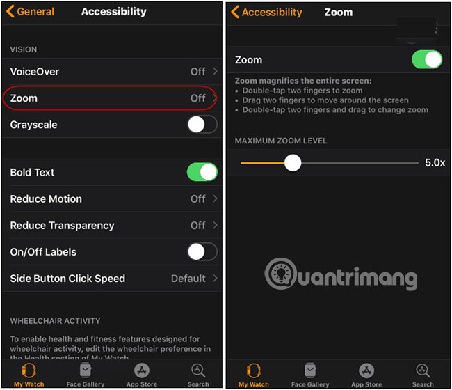 tinh nang zoom tren apple watch 2