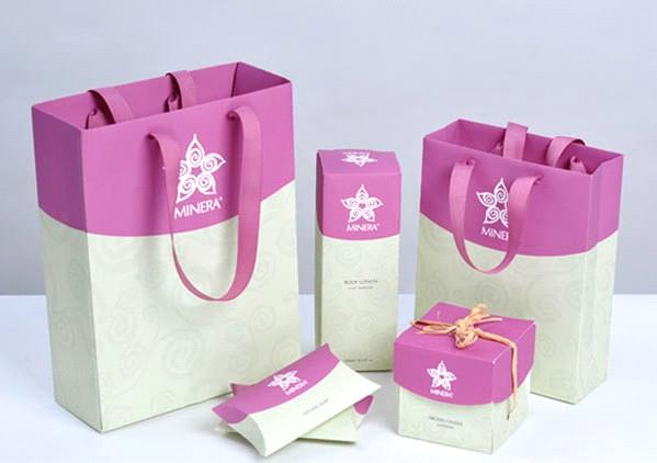 Thiet ke in tui giay Shopping Bag kraft paper bag